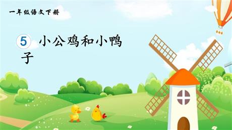 《小公鸡和小鸭子》PPT精品课件下载