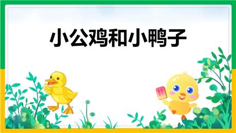 《小公鸡和小鸭子》PPT免费课件下载