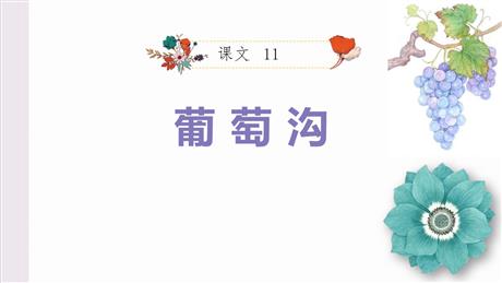 《葡萄沟》PPT免费教学课件