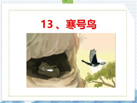 《寒号鸟》PPT免费教学课件