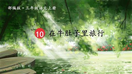 《在牛肚子里旅行》PPT课文课件下载