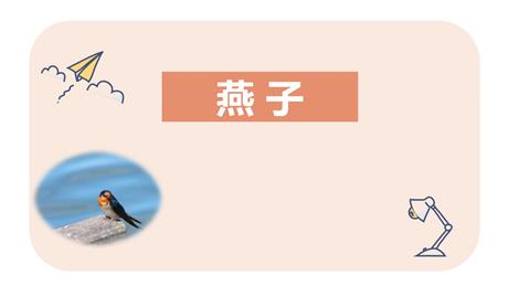 《燕子》PPT优秀课件下载