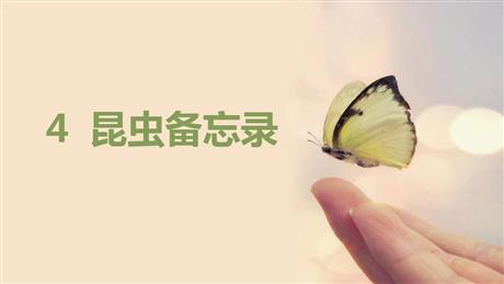《昆虫备忘录》PPT优秀课件下载