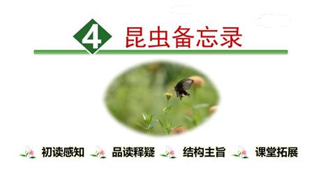 《昆虫备忘录》PPT免费课件下载