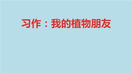 《我的植物朋友》PPT优质课件下载