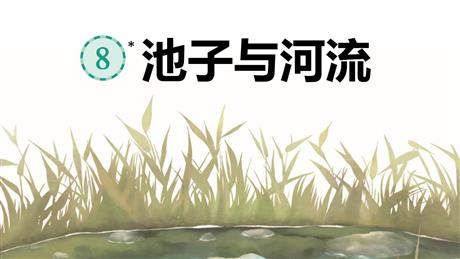 《池子与河流》PPT课文课件下载