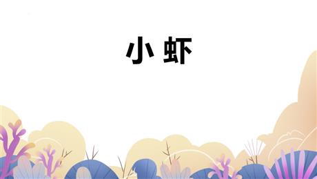 《小虾》PPT优秀课件下载