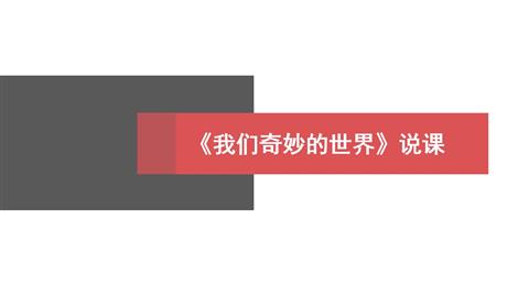 《我们奇妙的世界》PPT说课课件