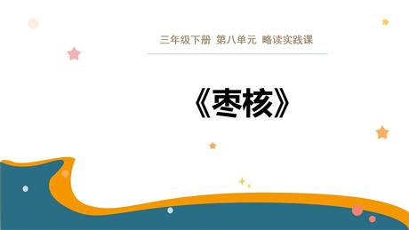 《枣核》PPT优质课件下载
