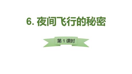 《夜间飞行的秘密》PPT课件(第1课时)