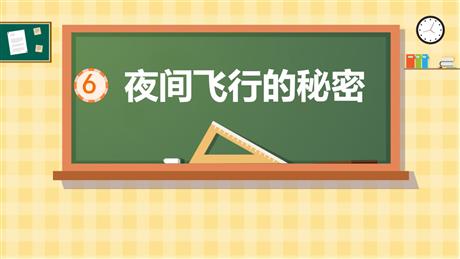 《夜间飞行的秘密》PPT教学课件