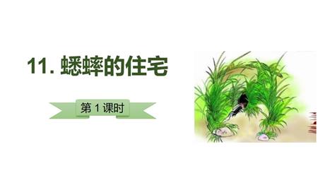 《蟋蟀的住宅》PPT教学课件(第1课时)