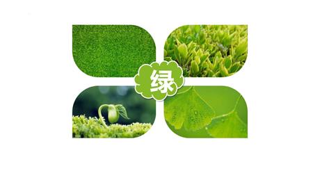 《绿》PPT优质课件下载
