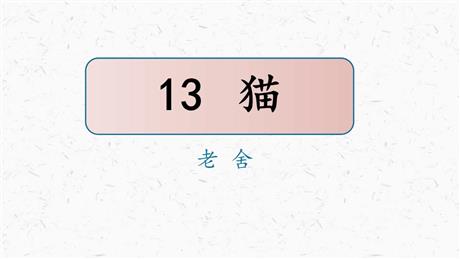 《猫》PPT优秀教学课件