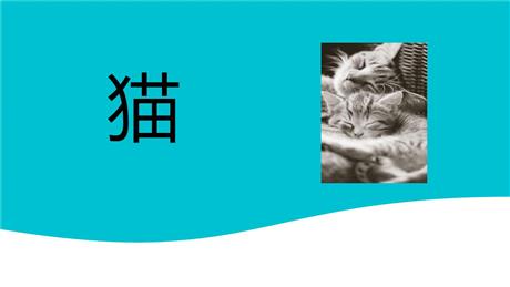 《猫》PPT免费精品课件