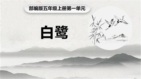 《白鹭》PPT免费课件下载
