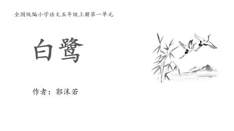《白鹭》PPT精品教学课件