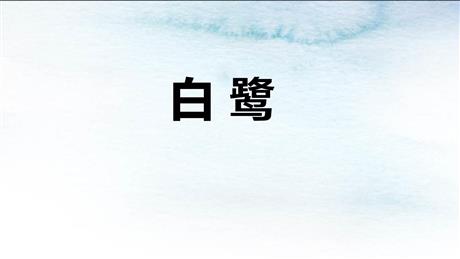 《白鹭》PPT教学课件下载