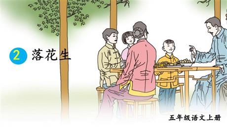 《落花生》PPT免费教学课件