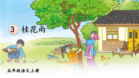 《桂花雨》PPT免费教学课件