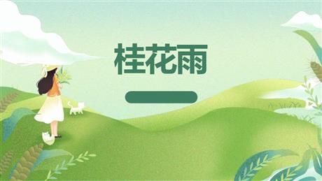《桂花雨》PPT免费课文课件