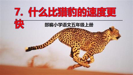 《什么比猎豹的速度更快》PPT优质课件下载
