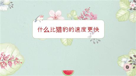 《什么比猎豹的速度更快》PPT免费教学课件