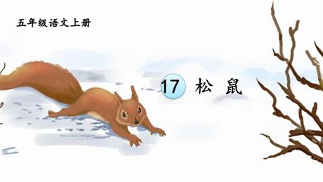 《松鼠》PPT免费精品课件下载