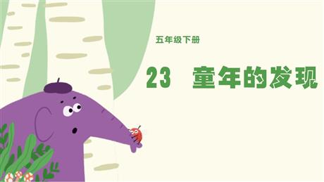 《童年的发现》PPT优质课件下载