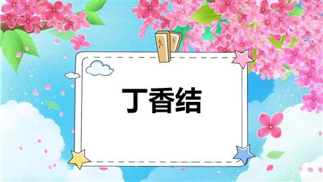 《丁香结》PPT优秀课件下载