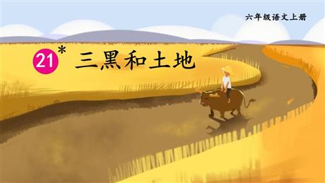 《三黑和土地》PPT免费课件下载