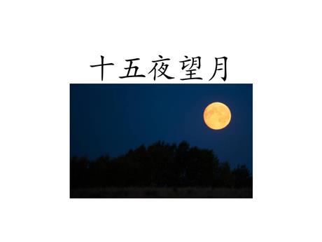《十五夜望月》古诗三首PPT免费下载