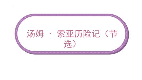 《汤姆·索亚历险记》PPT免费课件下载