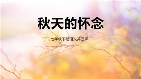《秋天的怀念》PPT优秀教学课件