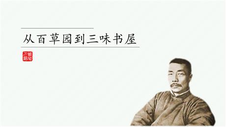 《从百草园到三味书屋》PPT优质教学课件