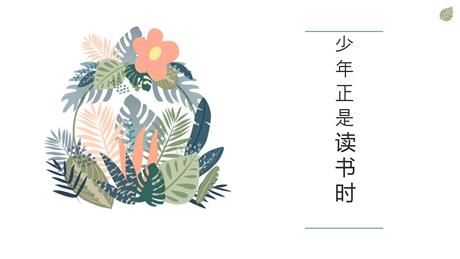 《少年正是读书时》PPT精品课件下载