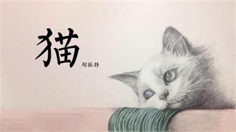 《猫》PPT免费优质课件