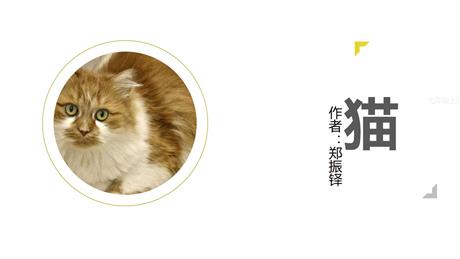《猫》PPT免费课文课件