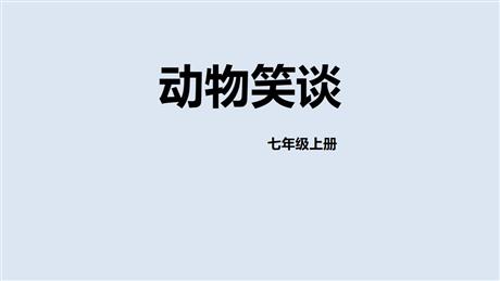 《动物笑谈》PPT免费教学课件