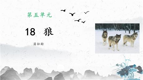 《狼》PPT精品课件下载