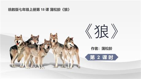 《狼》PPT课件下载(第2课时)