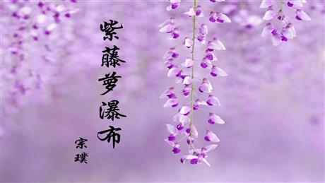 《紫藤萝瀑布》PPT优质教学课件