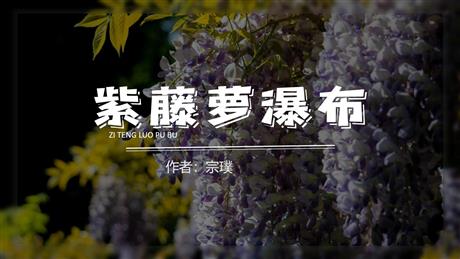 《紫藤萝瀑布》PPT优秀教学课件