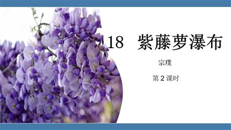 《紫藤萝瀑布》PPT教学课件(第2课时)