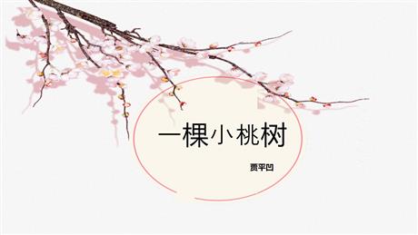 《一棵小桃树》PPT优秀课件下载