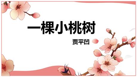 《一棵小桃树》PPT课文课件下载