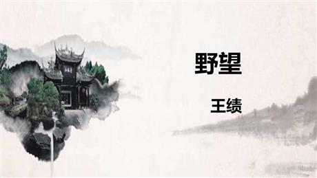 《野望》PPT优秀课件