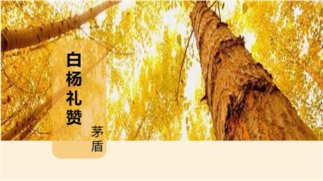 《白杨礼赞》PPT优质教学课件