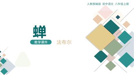 《蝉》PPT免费教学课件
