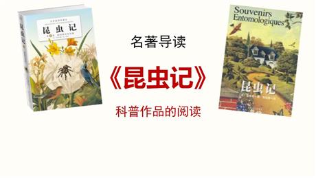 《昆虫记》PPT教学课件